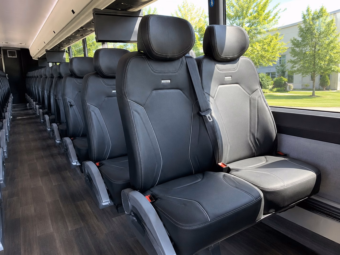 sacramento kings fan bus rentals from citrus heights